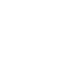 Platanus Hotel